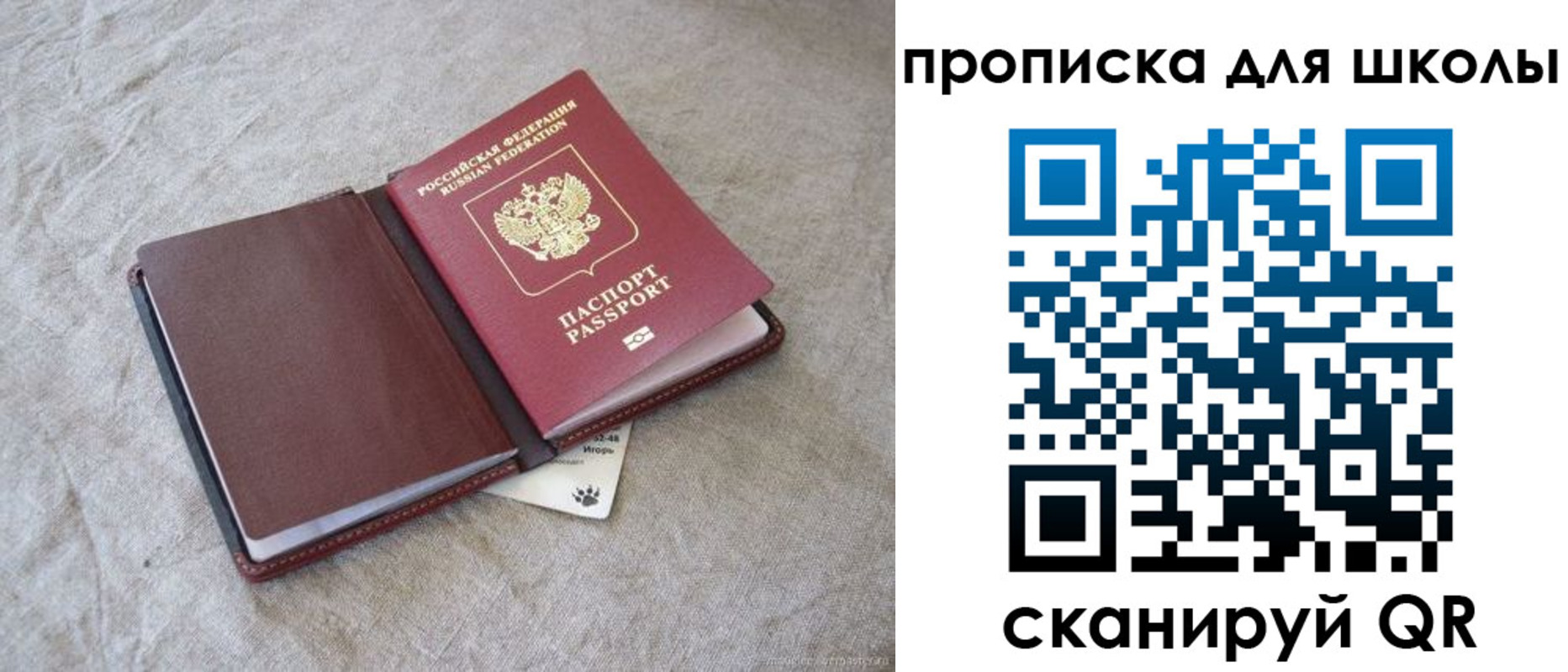 прописка штамп в Жуковском
